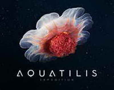 Четверых граждан США обвинили в шпионаже в пользу России