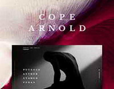 Власти Ингушетии намерены запретить торговлю на территории сгоревшего рынка